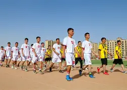 赛地聚焦——荷甲集结日热度飙升，莱比锡止住颓势，气氛紧张，细节决定成败(跑步显示无氧是不是不好)