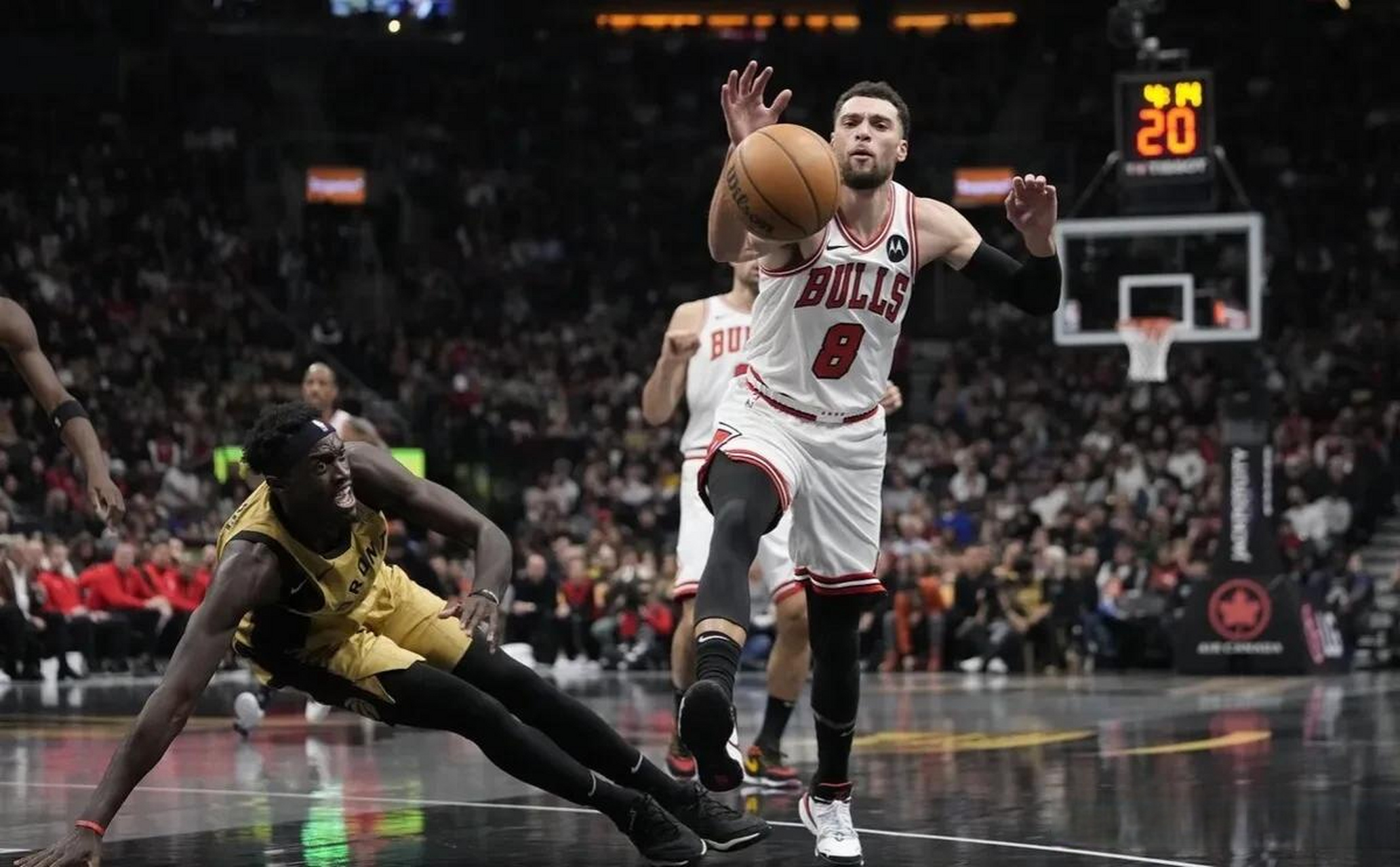 NBA常规赛倒计时，多伦多猛龙冲刺阶段伤情更新，细节引发关注，球迷炸锅，心理建设被强调的简单介绍