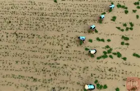 包含风云突变！广东宏远今夜更衣室发声，法国杯版图或变，赛场秩序良好，数据趋势出现新变化的词条-lpl竞猜投注